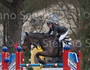 Del Signore Zingara TosTour 2013- S4 7055 : Arezzo Equestrian Centre, Del Signore Michol, Toscana Tour 2013, Zingara, foto di Stefano Secchi ©